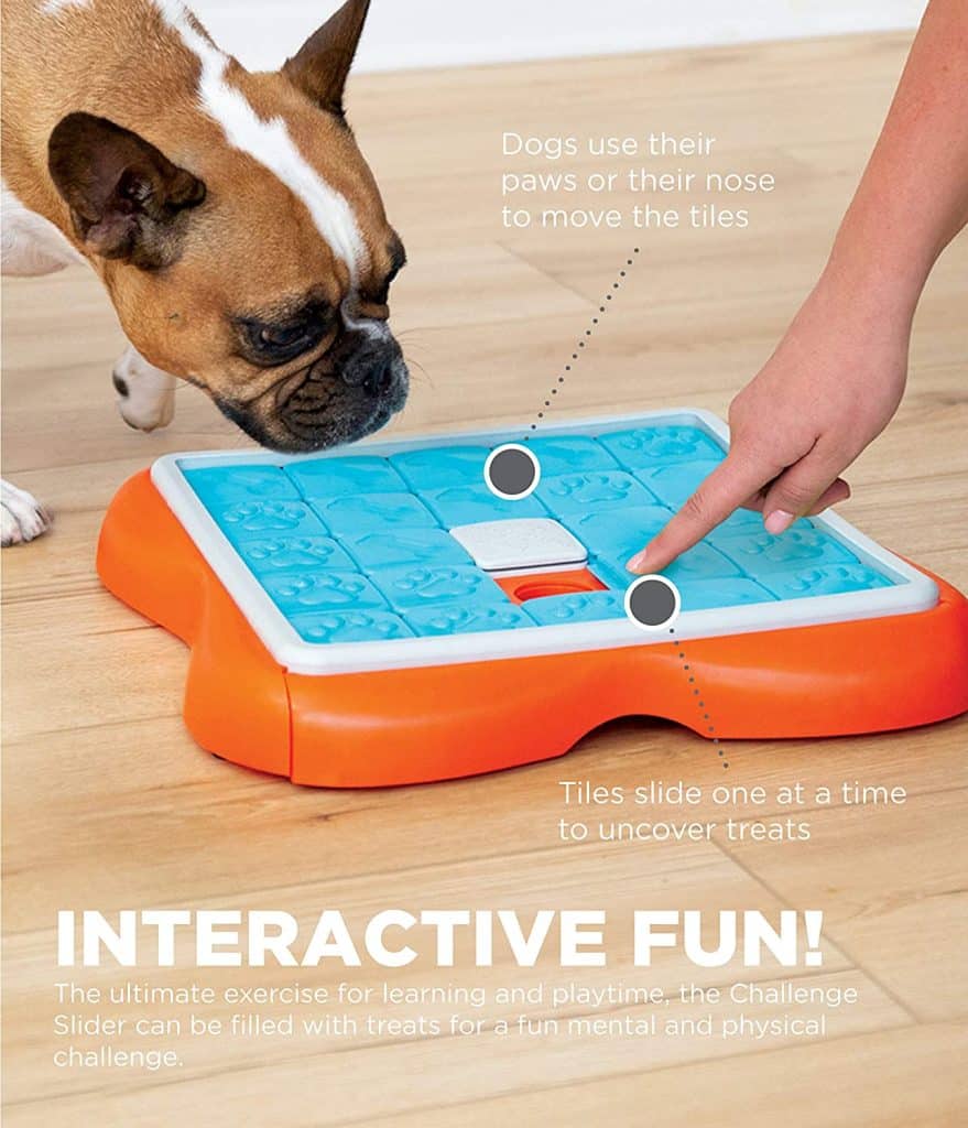 orange and blue dog slider enrichement toy