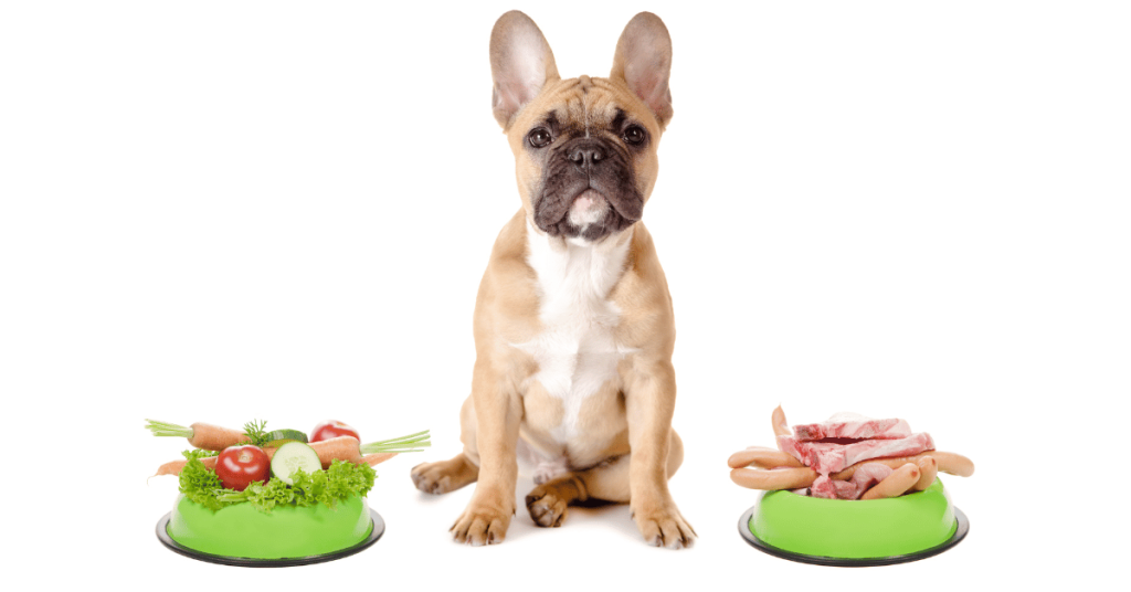 French Bulldog with bowl of vegetables and a bowl of meat either side of them