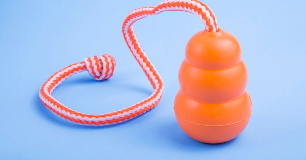 Orange kong tug toy - a kong dog toy on a rope