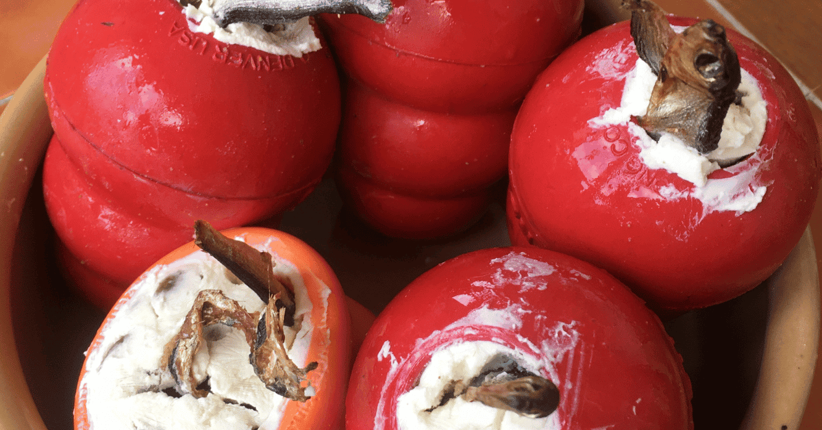 What to Put in a Kong Fun and Healthy Kong Stuffing Recipe Ideas Ask