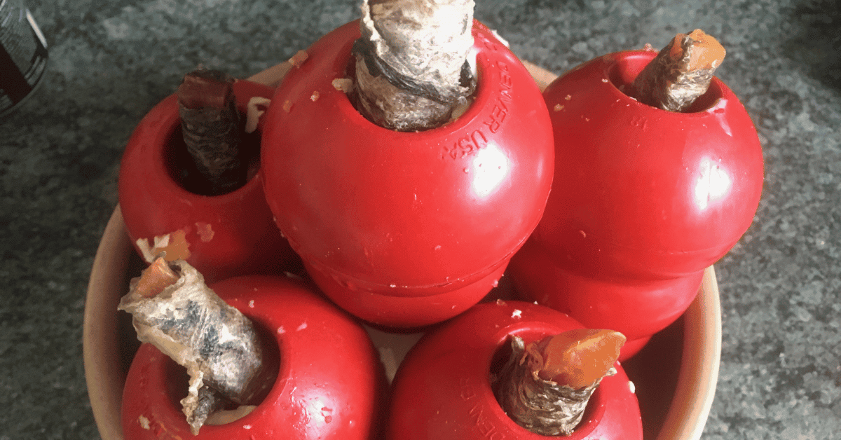 What to Put in a Kong Fun and Healthy Kong Stuffing Recipe Ideas Ask