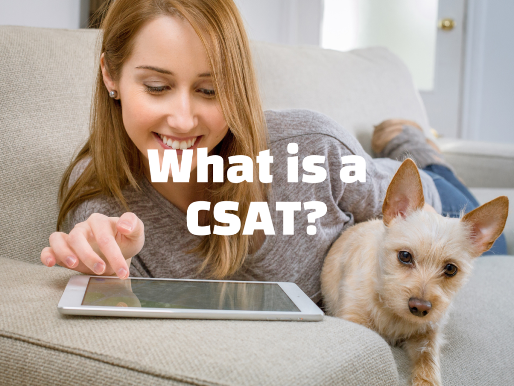 Woman and dog working on an ipad, white text overlay ready 'what is a CSAT'