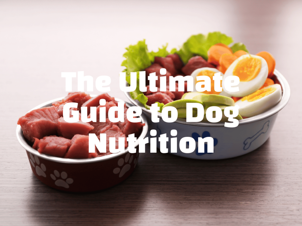 Bowl of fresh meat and vegetables white text in front reads the ultimate guide to dog nutrition