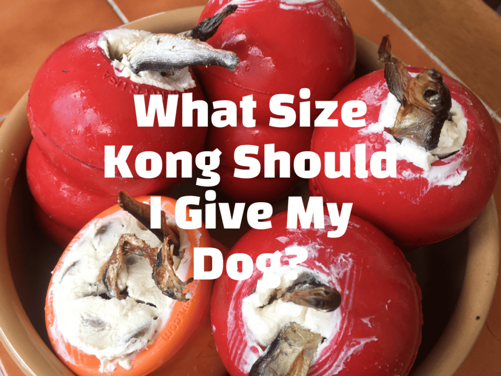 Red classic kongs in background white text overlay reads what size kong should I give my dog