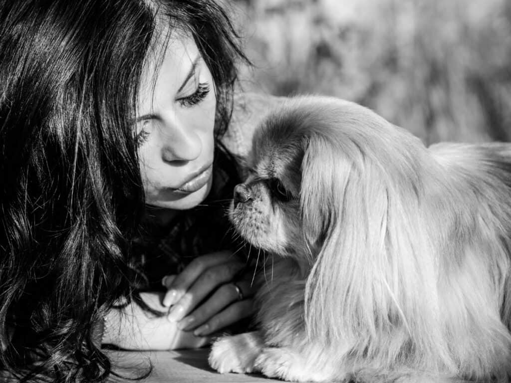 Desensitization in Dog Separation Anxiety Training header image lady with long dark hair and a Pomeranian