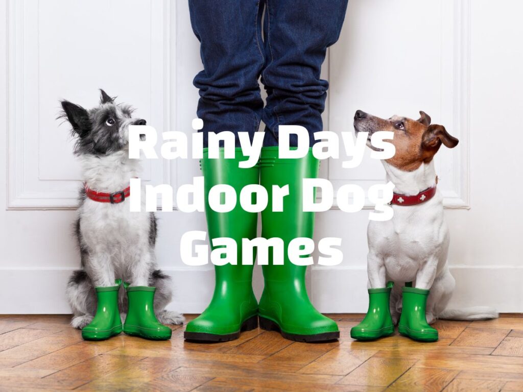 White text overlay Rainy Days Indoor Dog Games on a photograph of two terriers and a human pair of legs, all are wearing green wellies.