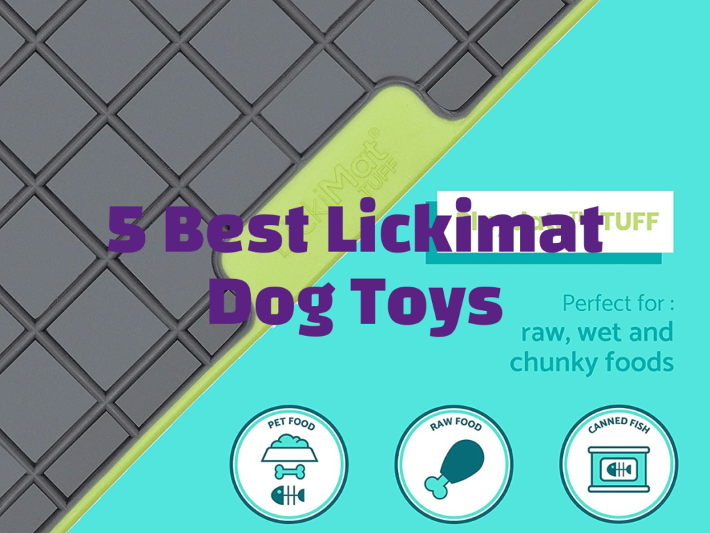 5 best lickimat dog toys text over a lickimat image