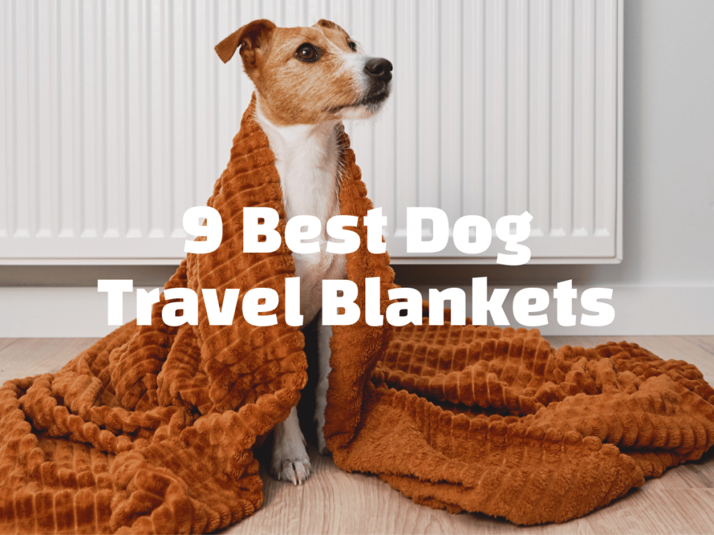 9 best dog travel blankets text over an image of a dog with a blanket wrapped around them