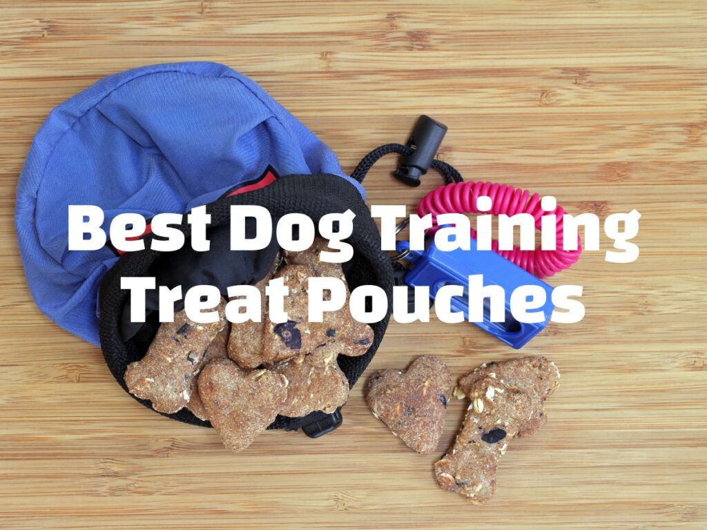Best-Dog-Training-Treat-Pouches white text over a picture of a blue treat pouch