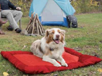 Best Dog Travel Blankets Kurgo Dog Trave Bed Chilli Red