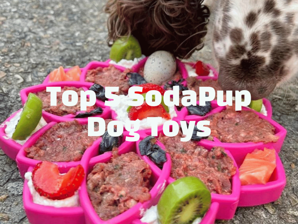 Top 5 SodaPup Dog Toys white text over an image of a sofa [up mandala toy filled with different types of dog food.