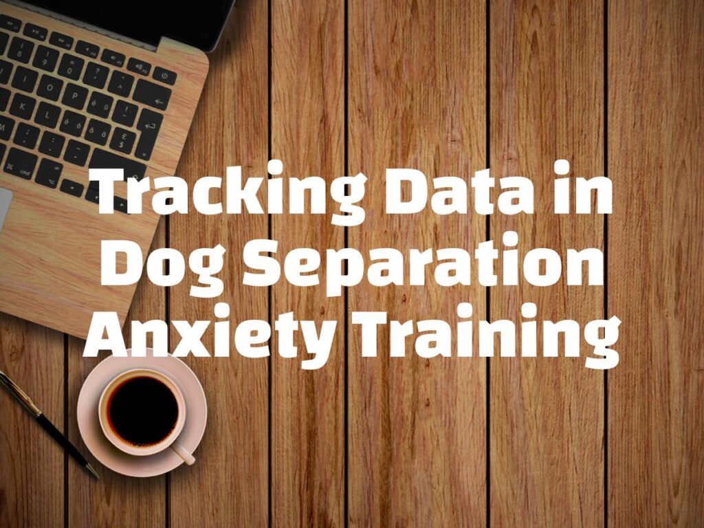 Tracking data in dog separation anxiety white text over a photo of a wooden table and a laptop and coffee