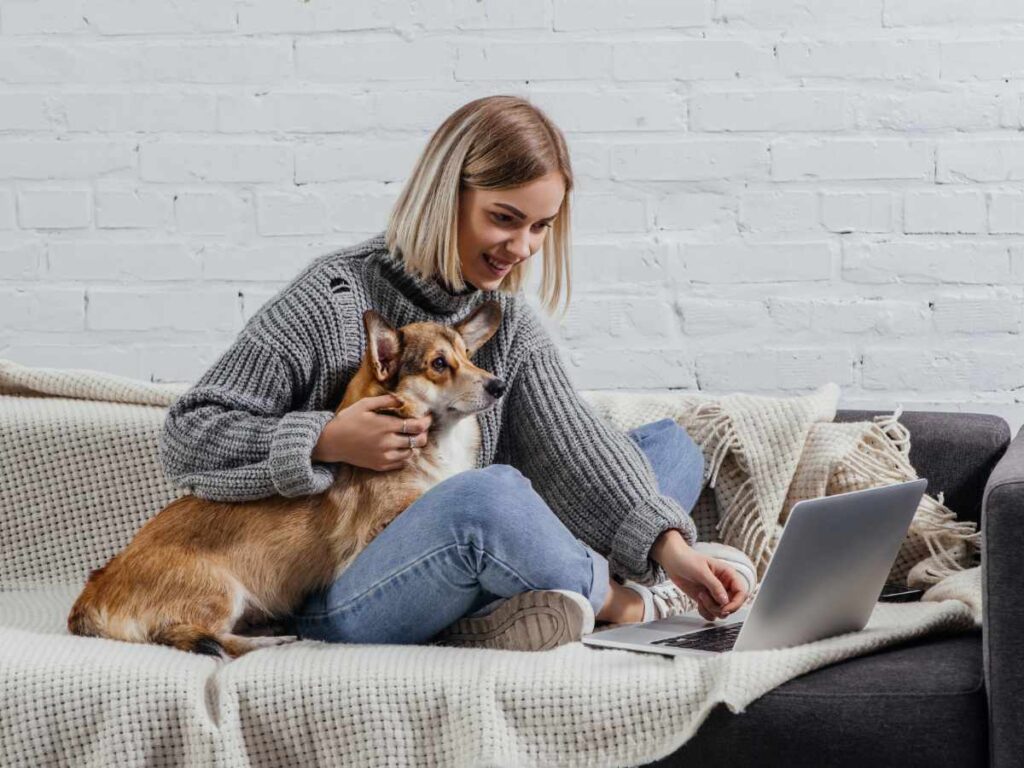 Professional Help for Dog Separation Anxiety dog and woman looking at a computer